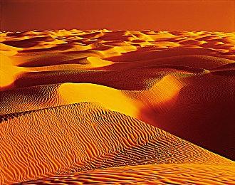 《宝可梦：朱＆紫》3天卖出1千万 破任天堂游戏记录