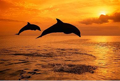 叙事冒险新作《Lost Records: Bloom & Rage》新预告